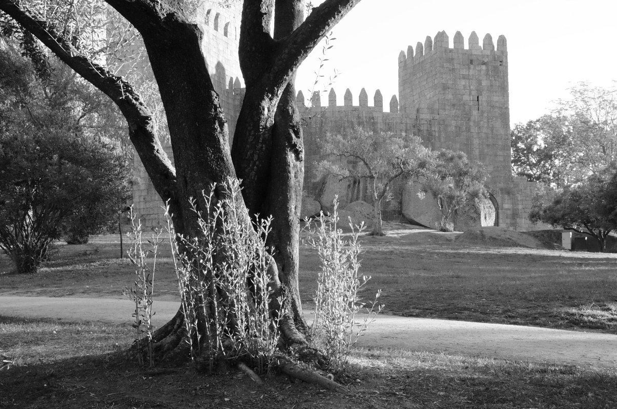 chteau de Guimaraes