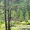 Lac de Crena, jardin japonais de Corse