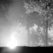 rencontre nocturne, parc Matisse
