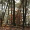 Saint Lonard des bois