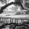 Noirmoutier, la plage des dames
