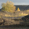 L'automne sur le terril 101
