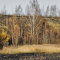 panorama dautomne  Loos